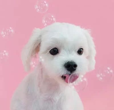 不好穿，肩带前半部分没有弹力那种料，勒的肉疼，不要买