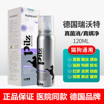 Dog Fungus Infection Mites Cat Moss Red Swollen Itching Red Rash Pussy Pussy Skin Disease Dermatosis Spray