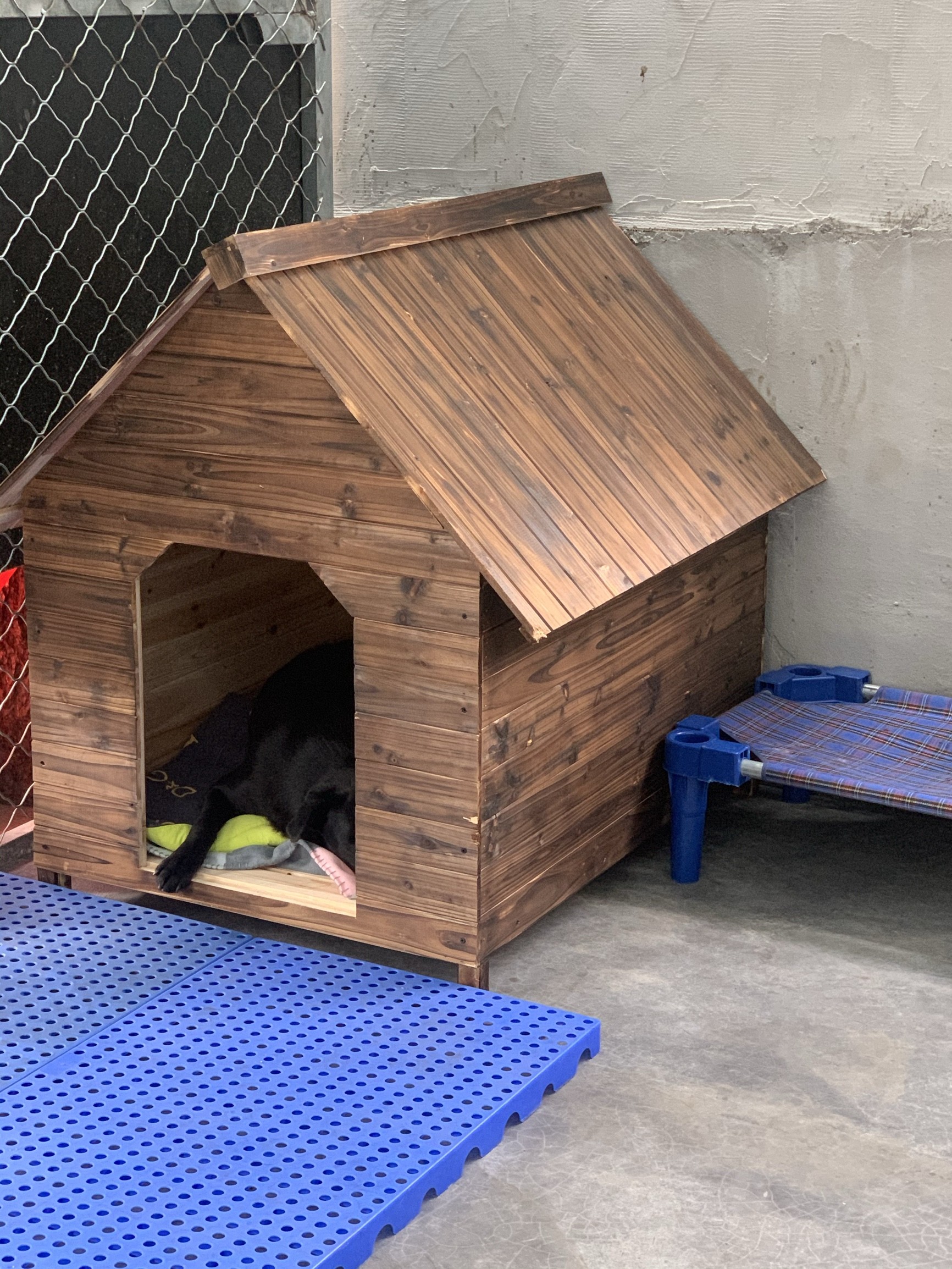 农村室外狗窝冬季保暖防水户外有顶豪华别墅安全感高级木制大型犬