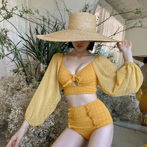 Split swimsuit women 2021 New Korean ins sexy swimwear Conservative belly thin long sleeve holiday hot spring