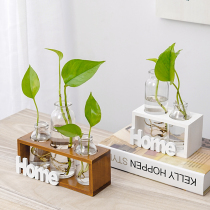 ins Simple Wood Hydroponic Glass Vase Hydroponic Plant Transparent Flower Arranger Living Room Home Decor Ornament