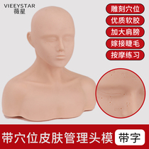Beauty salon skin management model head model with shoulder dummy Head half body mold Massage facial model face