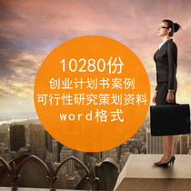 Entrepreneurship plan feasibility study planning word real case information business plan business financing