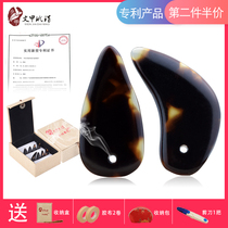 Armor Tortoiseshell Ancient Kite Nail Pads Grooves Double Arc Professional Performance Exam Beginner Adult Ancient Kite Accessories