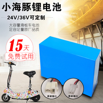 Customized 24V36V small dolphin electric car lithium battery scooter battery 24V large capacity battery car lithium battery