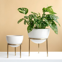 ladylike creative semicircular ceramic hydroponic flowerpot electric gold-plated stainless steel flower shelf shelf living room ornaments