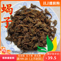 Whole insect scorpion scorpion saltwater 50g