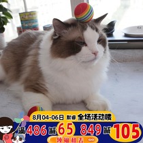 Rainbow ball ball Cat toy ball Cat toy Micro elastic cute Q-bounce rainbow ball funny cat toy