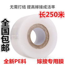 Fruit tree grafting special tape Tree seedling eye Household branches Practical cling film winding knotting protection