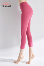 Youkalian spring and summer new sports pants women BPW286 wear fashion slim quick dry yoga clothing naked feel Capri pants