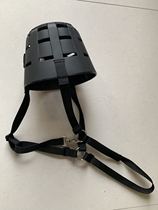 Horse mouth cover