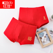 Red bean childrens underwear year marriage bed with its bright red curtains boys cotton pants girls zhong da tong Red mens boxers