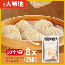 Daxidi filling soup bag Convenient instant fresh meat filling soup Xiaolongbao quick-frozen bun pasta breakfast 250g*8 bags