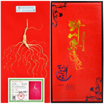 Supplementing the road wild ginseng gift box the Northeast Changbai Mountain specialty Xiyang ginseng forest under the gift box Guohua ginseng