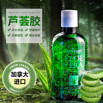 Canadian Jamieson bodybuilder aloe vera gel 240ml hydrating soothing anti-itching aloe moisturizing repair gel
