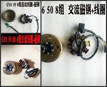 Moped 48ccGY6 50 80 6 groups 8 groups AC DC magnetic motor Stator rotor magnetic steel ignition coil