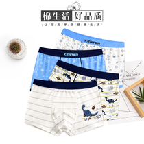 Childrens underwear summer pure cotton teen boy cotton baby middle and large children 1-15 years old shorts men and women children flat angle