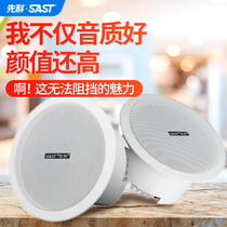 Schenko wireless Bluetooth ceiling audio home living room surround subwoofer background music wall hanging speaker ceiling ceiling embedded indoor commercial shop public address package