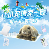 Summer small favorites Summer Rabbit Dragon Cat Guinea Pigs Cool Ice Packs Ice Boxes Ice Mat Ice Sheet Heat Dissipation Board Pet Supplies