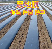 Black film White film Insulation moisturizing weeding film Agricultural shed film Anti-seepage film Two-color film Silver black film wholesale