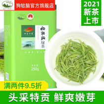 Jiangxi Gou Nou Gunao Green Tea Tea 2021 New Tea Mingxiangtou Special Grade Alpine Spring Tea 250g