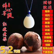 Shakyamuni Buddha heart fruit Bodhi seed original seed Big fruit number color yellow red skin old fruit gold package Jade boutique pendant finished product