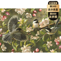Spot COBBLE HILL imported puzzle 500 pieces of birds on the almond tree