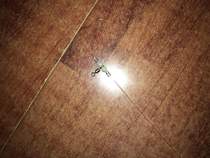 Sea Fishing Fishing Group Wreck Anchor Terrace Fishing Group 1 2 m 1 5 m 2 m Anti-Winding 2 Hooks 3 Hooks