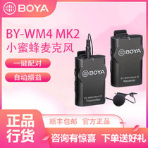 BOYA Boya BY-WM4 MKII SLR Micro single camera Set-top small bee microphone radio microphone Mobile phone