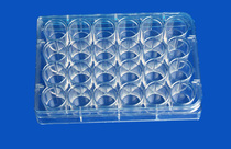 TC treatment of 6 wells 12 wells 24 Wells 48 wells 96 wells cells bacterial culture plate Microplate sterilization and equipment for laboratory teaching