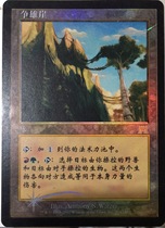 Doming Lao Zhao Wanzhi brand simple flash competition for the cliffs