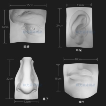 Real facial features set of gypsum model starting point from facial features to plaster head structure sketch book Stepping Stone