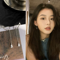 Long Super fairy tassel Wings earrings design sense small net red explosive earrings high personality sterling silver earrings female