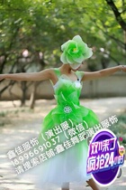 National Performance Costume Companion Dance Suit Opening Dance Suit Lady Long Show Performance Racing set to do