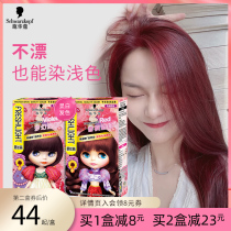 Schwarzkopf Bubble Hair Dye 2021 White Wine Red Deep Purple Pink Brown Japanese Dye Hair Cream Dye at Home