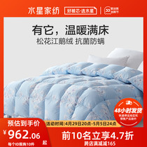 Water Star Home Textiles Antibacterial White Goose Down Winter Quilt Warm Fluffy High End Light Lavish Duvet Quilted By Goose Down Quilt Bed Supplies
