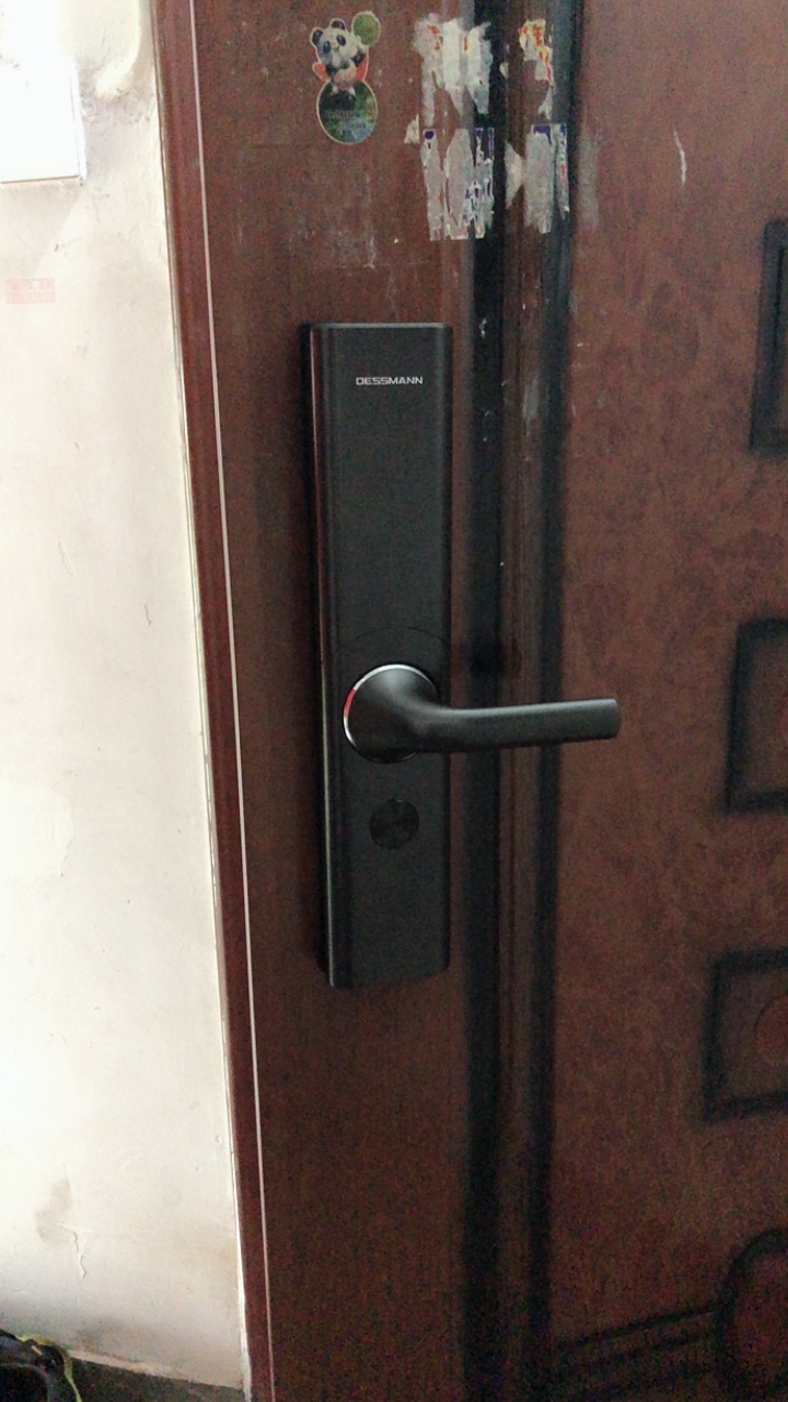 【揭秘问答】德施曼T86怎么样呀?一个月后感受