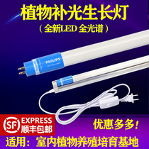 Philips plant cultivation lamp fleshy fill light lamp Full spectrum LED flower plant growth lamp imitation sunlight