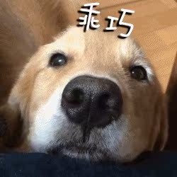 嘿嘿嘿~还行吧，除了掉色，洗了没穿