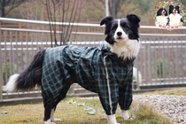 Pet raincoat Medium and large dog Satsuma golden retriever border four-legged raincoat Corgi special raincoat big dog spot