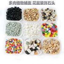 Flower granules household White Stone Sandstone small stone colorful turtle Pebble flower cylinder color stone head