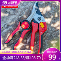 Love Lith Flowers Cut Branches Cut Flowers Art Scissors Repo Flowers Home Bonsai Gardening Flowers Flower Arrangements Flower And Grass Clippers Tools