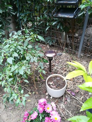 吐槽最新揭秘尚科太阳能灭蚊灯怎么样,效果好不好呢?