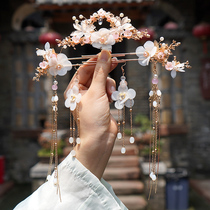 Hanfu wig Female headdress Fairy pearl tassel hair comb accessories Classical Ming hairpin full set package ancient suit
