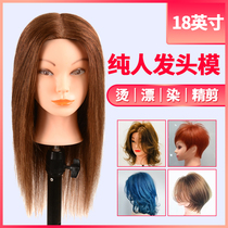 Full real hair head model Real hair apprentice hair cut dummy head model can be hot dyed hair model head Real hair doll head