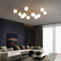 Living room light suction ceiling lamp modern minimalist atmosphere 2021 New Nordic light lavish hall bedroom led lamps