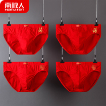 Antarctic red large size shorts mens 2020 summer new triangle mens underwear Xinjiang cotton breathable