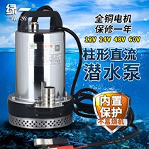 Agricultural watering vegetables 12V DC submersible pump 24V48V60V high lift plug-in electric vehicle household water pump connected to the battery