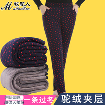 Inner Mongolia Humpdown Warm Pants Women Plus Suede Thickened Winter Big Code Middle Aged Inside And Outside Wearing Wool Pants Grandma Cotton Pants