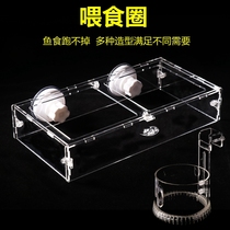 Fish tank eating disc double-purpose acrylic fish grain peacock fish corlamp fish feeding circle anti-drifting feeder for feeding rings